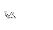new_michelin